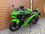 Klikněte pro detailní foto č. 1 - Kawasaki Ninja 500 R