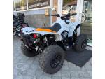 Klikněte pro detailní foto č. 4 - CAN-AM Renegade 1000R XXC MY25, SPZ