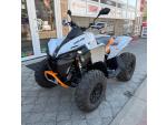 Klikněte pro detailní foto č. 3 - CAN-AM Renegade 1000R XXC MY25, SPZ