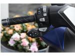 Klikněte pro detailní foto č. 7 - Honda Forza 350 1.majitel / CZ původ