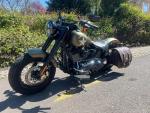 Klikněte pro detailní foto č. 4 - Harley-Davidson FLSS Softail Slim S