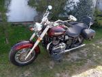 Klikněte pro detailní foto č. 10 - Triumph America TOP STAV limitovaná edice