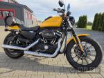 Klikněte pro detailní foto č. 1 - Harley-Davidson XL 883N Sportster Iron