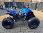Detail nabídky - Linhai ATV 110 4X2 EFI CE