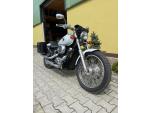 Klikněte pro detailní foto č. 4 - Honda VT 750 DC Black Widow