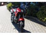 Klikněte pro detailní foto č. 1 - QJ Motor SRT 125 DX NOVINKA 2026 skladem