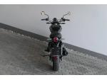 Klikněte pro detailní foto č. 14 - Royal Enfield Bear 650 Golden Shadow ( odpočet DPH )