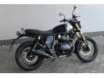 Klikněte pro detailní foto č. 3 - Royal Enfield Bear 650 Golden Shadow ( odpočet DPH )