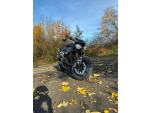 Klikněte pro detailní foto č. 4 - Triumph Speed Triple 1050 RS