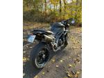 Klikněte pro detailní foto č. 5 - Triumph Speed Triple 1050 RS