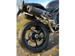 Klikněte pro detailní foto č. 7 - Triumph Speed Triple 1050 RS