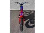 Klikněte pro detailní foto č. 4 - Beta Evo 300 2T Factory MY25 - najeto 48 mth, záruka do 6/27