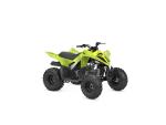 Klikněte pro detailní foto č. 4 - Yamaha YFM110R