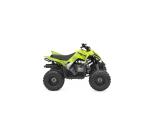 Klikněte pro detailní foto č. 5 - Yamaha YFM110R