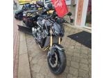 Klikněte pro detailní foto č. 11 - QJ Motor SRK 800, tempomat, jízdní režimy, oboustranný quickshifter