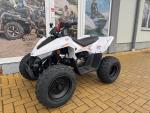 Klikněte pro detailní foto č. 2 - Linhai ATV 110