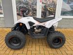 Klikněte pro detailní foto č. 6 - Linhai ATV 110