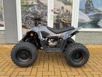 Klikněte pro detailní foto č. 1 - Linhai ATV 110