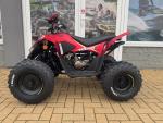 Detail nabídky - Linhai ATV 110