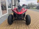 Klikněte pro detailní foto č. 3 - Linhai ATV 110