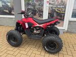 Klikněte pro detailní foto č. 5 - Linhai ATV 110