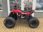 Klikněte pro detailní foto č. 6 - Linhai ATV 110