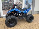 Klikněte pro detailní foto č. 2 - Linhai ATV 110