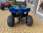 Klikněte pro detailní foto č. 11 - CFMOTO Gladiator X110