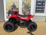 Detail nabídky - CFMOTO Gladiator X110