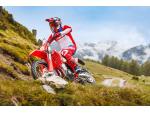 Klikněte pro detailní foto č. 8 - Beta ENDURO RR X-PRO 350 4T MY26 - záruka 2 roky