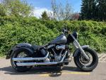 Klikněte pro detailní foto č. 3 - Harley-Davidson FLS Softail Slim