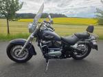 Klikněte pro detailní foto č. 4 - Kawasaki VN 800 Classic