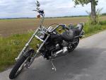 Klikněte pro detailní foto č. 4 - Harley-Davidson FXSTC Softail Custom