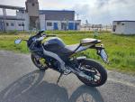 Klikněte pro detailní foto č. 12 - Aprilia RS 125