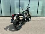 Klikněte pro detailní foto č. 3 - Triumph Scrambler 900 zánovní pouze 6 447 km