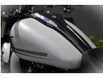 Klikněte pro detailní foto č. 10 - Harley-Davidson FXBR Softail Breakout 117  Nový / CZ původ / DPH