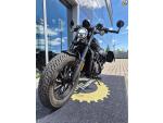 Klikněte pro detailní foto č. 10 - CFMOTO 450 CL-C