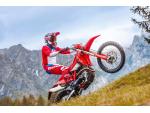 Klikněte pro detailní foto č. 9 - Beta ENDURO RR X-PRO 390 4T MY26 E5+ - záruka 2 roky