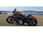 Klikněte pro detailní foto č. 2 - Harley-Davidson XL 883N Sportster Iron