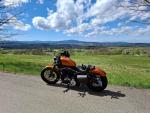 Klikněte pro detailní foto č. 3 - Harley-Davidson XL 883N Sportster Iron