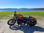Klikněte pro detailní foto č. 4 - Harley-Davidson XL 883N Sportster Iron