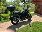 Klikněte pro detailní foto č. 5 - Benelli Leoncino 500