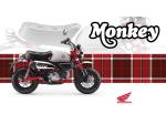Klikněte pro detailní foto č. 5 - Honda Monkey 125