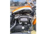 Klikněte pro detailní foto č. 3 - Harley-Davidson XL 1200 C Sportster  Custom EU verze TOP STAV  A2