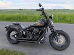 Klikněte pro detailní foto č. 1 - Harley-Davidson FLSTSB Softail Cross Bones