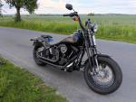 Klikněte pro detailní foto č. 5 - Harley-Davidson FLSTSB Softail Cross Bones