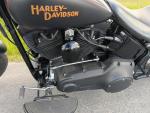 Klikněte pro detailní foto č. 7 - Harley-Davidson FLSTSB Softail Cross Bones