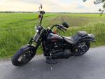 Klikněte pro detailní foto č. 8 - Harley-Davidson FLSTSB Softail Cross Bones
