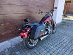 Klikněte pro detailní foto č. 6 - Harley-Davidson FXDL Dyna Low Rider 103