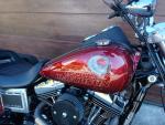 Klikněte pro detailní foto č. 8 - Harley-Davidson FXDL Dyna Low Rider 103
